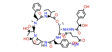Aeruginopeptin 228A